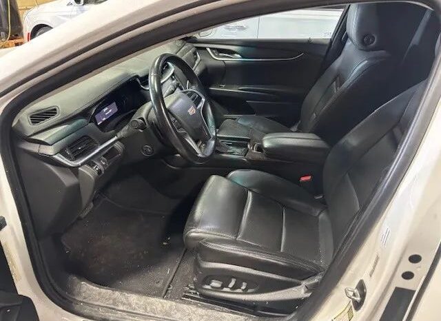 2017 Cadillac Federal Limo full